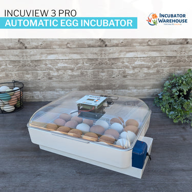 IncuView™ 3 Pro All-In-One Automatic Egg Incubator